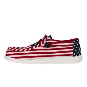 Wally Americana - American Flag