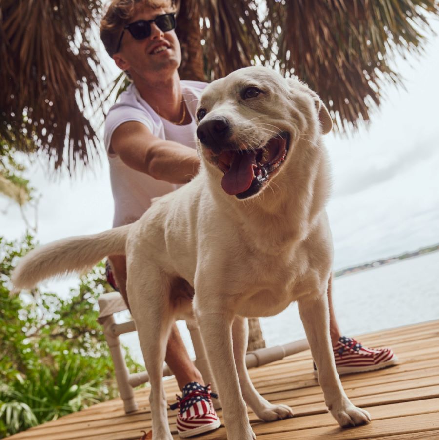 Wally Americana - American Flag - Image 2